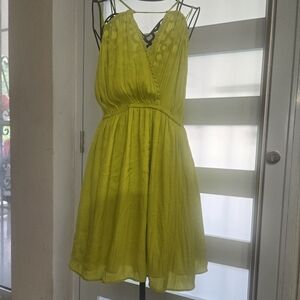 Naked Zebra Lime Mini Dress